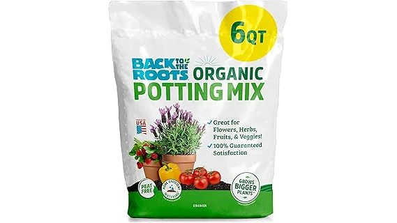 Best Selling 10 Soil for Bamboo in Pots