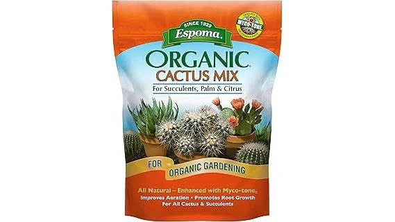 The image shows lush sago palms potted in a variety of excellent soils perfect for their growth.