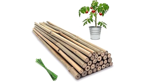 Best Selling 10 Stakes for Tomato Plants