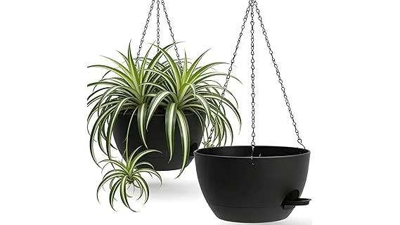 The image shows lush, vibrant trailing plants cascading from hanging baskets, showcasing popular selections.