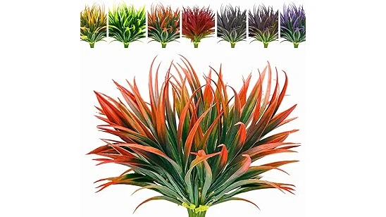 The image shows a vibrant collection of lush, tropical plants thriving in bright sunlight, perfect for full sun gardens.