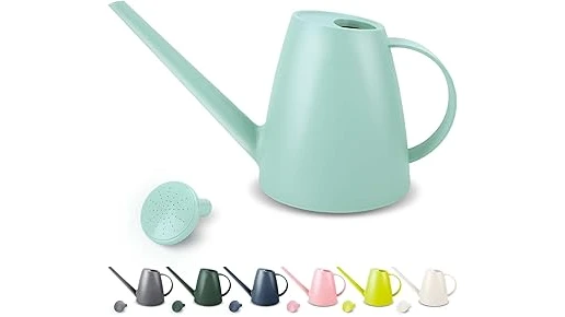 Best Selling 10 Water Plants for Indoor