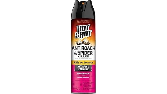 Best Selling 10 Yard Spray for Spiders