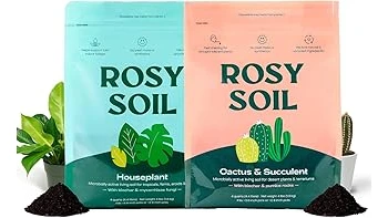 The image shows a healthy pink princess philodendron plant potted in a popular, nutrient-rich soil mix.