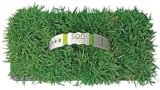 The image shows a lush Zoysia grass lawn treated with a best-selling 3 pH product.