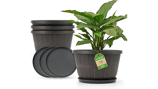 Most Popular 1 Perennials for Whiskey Barrels