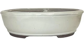 Most Popular 1 Soil for Japanese Maple in Container