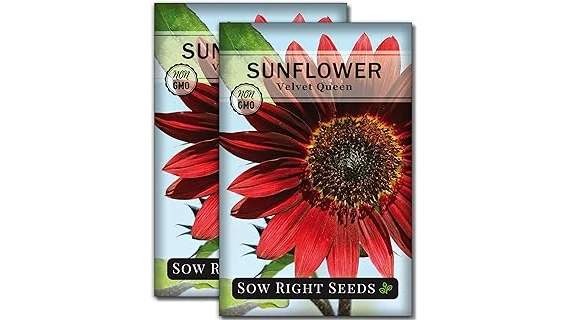 This image shows a vibrant garden bed filled with colorful flowers, highlighting popular annuals for full sun and heat.