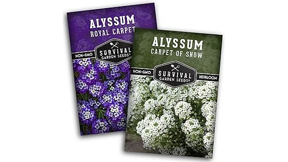 The image shows a vibrant garden bed filled with popular annuals suitable for partial shade.