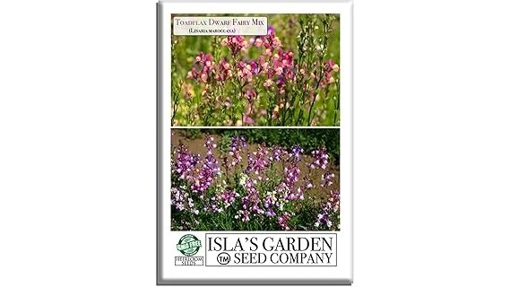 The image shows vibrant blooming annuals in pots, perfect for gardens that receive full sun.