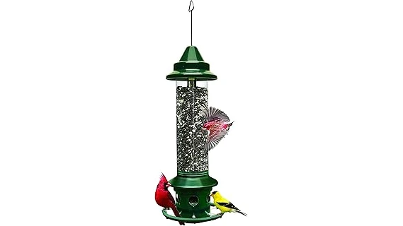 The image shows a popular squirrel-proof bird feeder, highlighting its design for keeping seeds safe from unwanted guests.