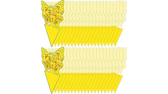 The image shows a vibrant collection of carnivorous plants, ideal for catching fungus gnats.