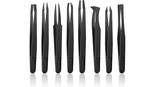 Most Popular 10 Carnivorous Plants for Flies