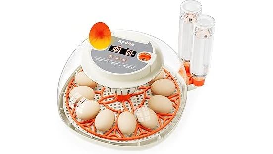 The image shows several modern chicken incubators suitable for beginners to hatch eggs.
