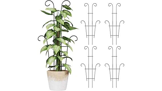 The image shows vibrant climbing plants adorning a house exterior, ideal for the front of your home.