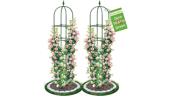 The image shows a vibrant climbing plant with lush green leaves growing on a wooden trellis in bright sunlight.