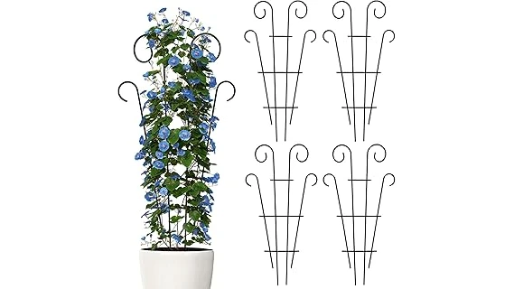 The image shows lush, green climbing vines growing vibrantly in a shaded garden setting.