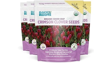 Most Popular 10 Clover to Plant for Deer