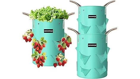 Most Popular 10 Container for Growing Strawberries