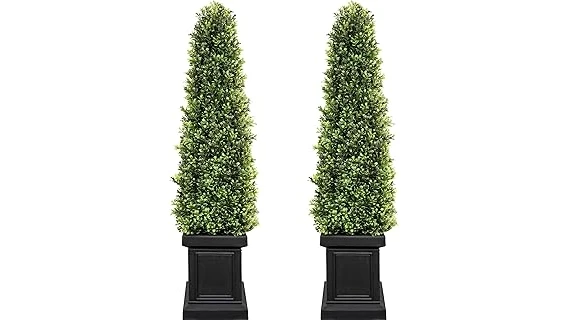 Most Popular 10 Decorative Trees for Front Yard 2