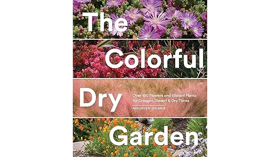 Most Popular 10 Desert Plants for Landscaping