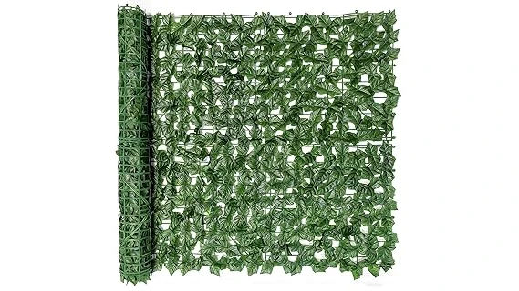 Most Popular 10 Evergreen Hedges for Privacy