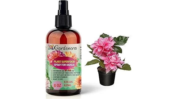 The image shows a vibrant bougainvillea plant in a pot, alongside several fertilizer products from the most popular list.