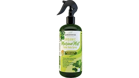 The image shows a selection of popular fertilizers for ficus trees, ideal for plant care.