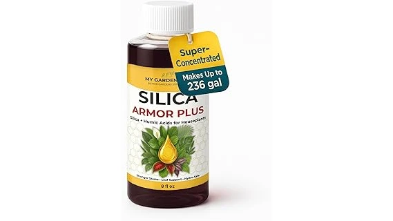 The image shows a collection of popular fertilizers ideal for healthy pothos plants.