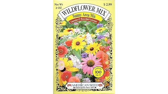 Most Popular 10 Flowers for Sunny Areas