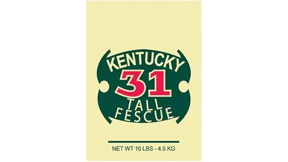 Most Popular 10 Grass Seed to Plant in Winter