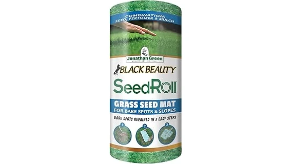 The image shows lush, green grass thriving in bright sunlight, highlighting popular choices for hot weather lawns.