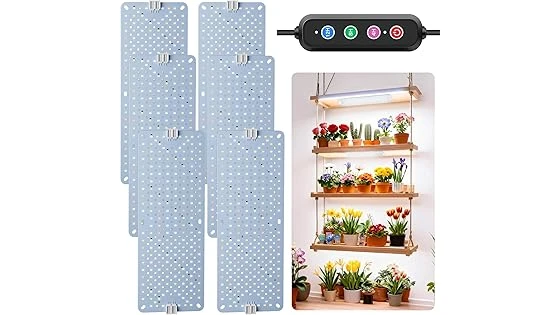The image shows various grow lights illuminating a collection of healthy succulents.