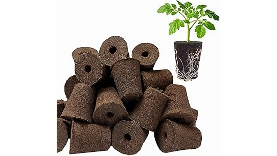 The image shows various popular growing mediums for hydroponics, ideal for the top 10 list.