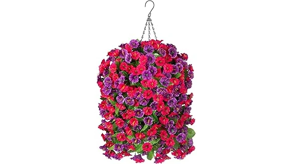 The image shows vibrant red fuchsia hanging flowers, perfect for attracting hummingbirds in this list of popular choices.