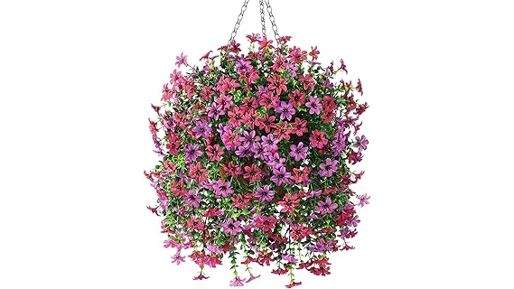 Most Popular 10 Hanging Plant for Low Light