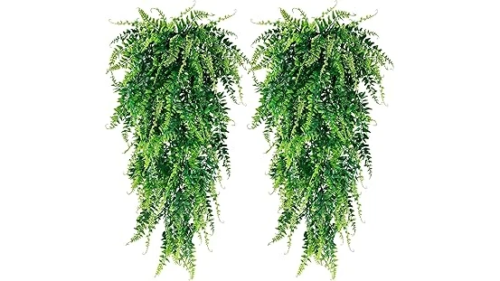 The image shows a selection of lush, beautiful hanging plants suitable for a shaded porch.