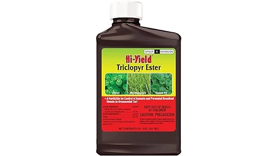 Most Popular 10 Herbicide for Creeping Charlie