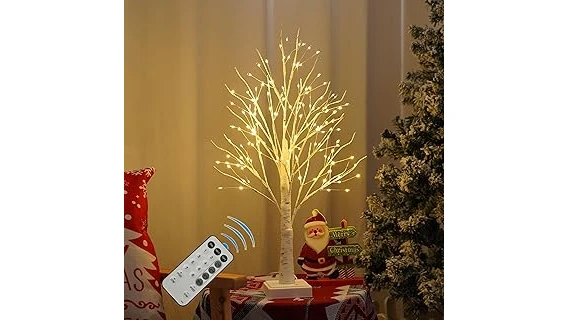 The image shows a beautifully arranged selection of popular low-light houseplants, perfect for any home.