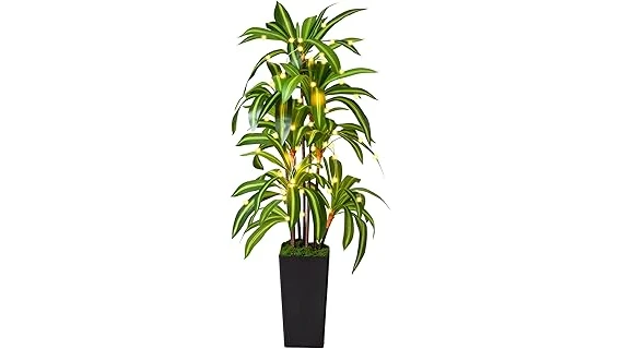 The image shows a lush green plant thriving, symbolizing the Most Popular 10 Indoor Plants for Bedroom.