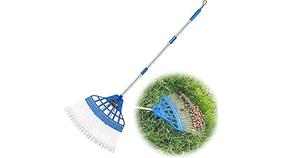 The image shows a person using a lawn sweeper to collect acorns from a grassy yard.