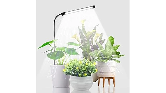 The image shows a vibrant spectrum of light colors, highlighting the most popular choices for photosynthesis.