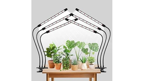 Most Popular 10 Light for Orchids to Grow