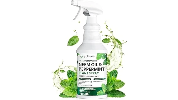 This image shows a vibrant rose bush with dark green leaves and a bottle of neem oil.