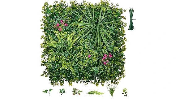 Most Popular 10 Plant for Privacy Hedge