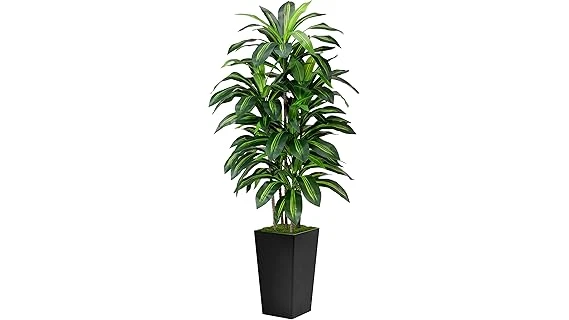 Most Popular 10 Plant for a Bedroom