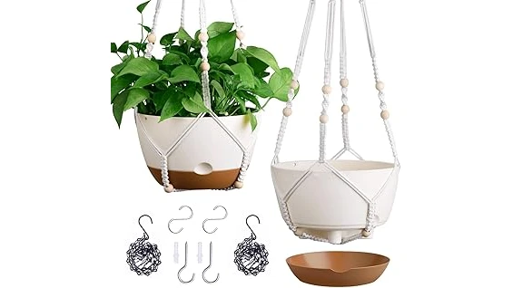 Most Popular 10 Planter for Spider Plant