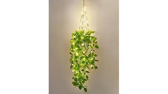 The image shows a variety of lush green plants thriving under artificial light, highlighting top picks for indoor gardening.