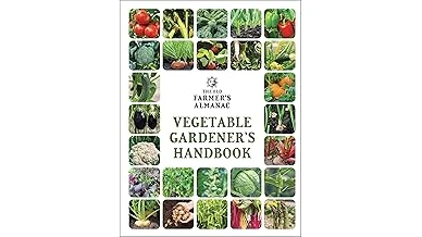 Most Popular 10 Plants for Beginner Gardeners