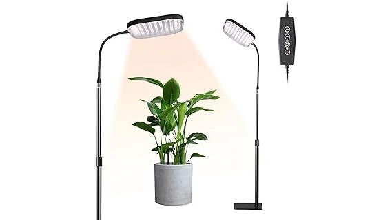 The image shows a collection of vibrant, sun-loving plants perfect for bright direct light.